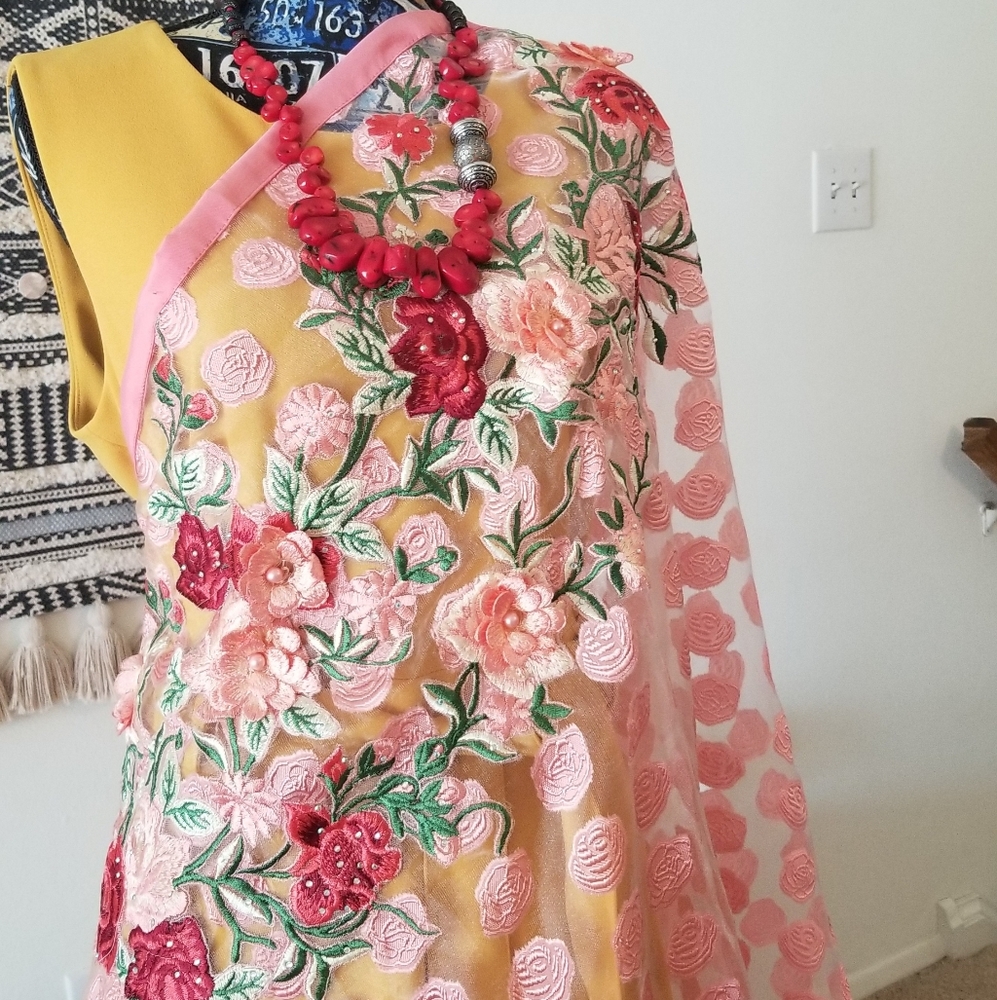 Saree, net, fancy, pink,  unique, sheer with polka dots embroidered all over. - Picture 8 of 8